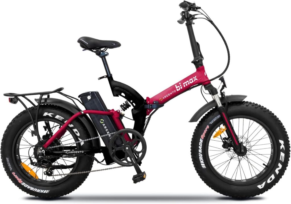 fat bike elettrica