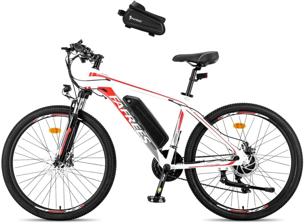 mountain bike elettrica donna