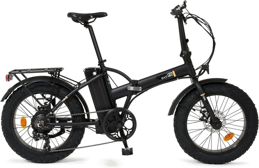 fat bike elettrica